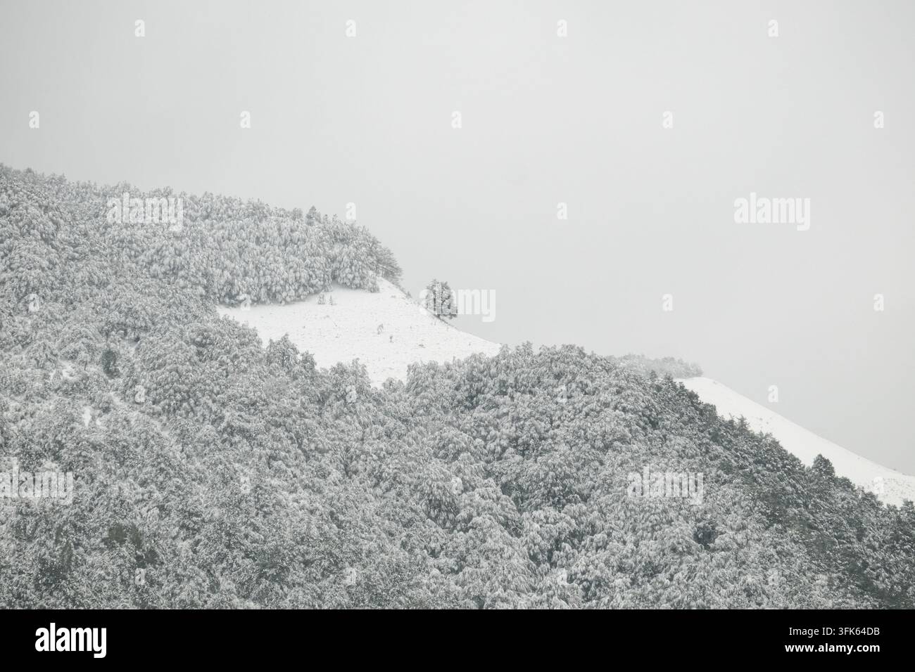 04 ottobre 2025 neve autunnale nella foresta dei monti Bjelasica, Ski Center Kolasin 1450, Montenegro (2) Foto Stock