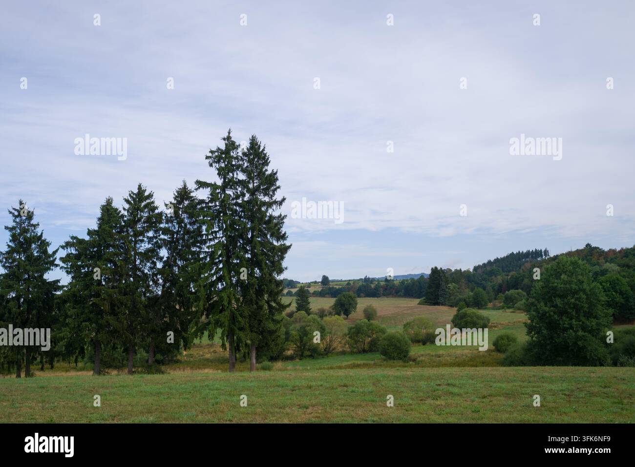 Agricoltura in armonia con la natura nella parte orientale del Belgio. Foto Stock