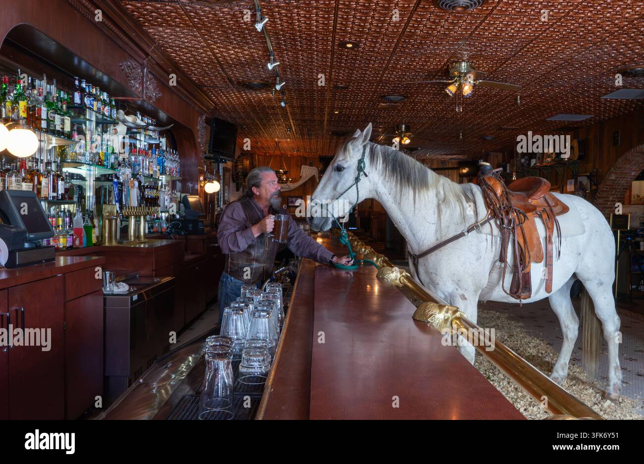 Casper, Wyoming, Stati Uniti - 14 giugno 2015: Vista di un uomo in giubbotto di pelle in piedi a un bar con un cavallo bianco con una sella all'interno di un rustico s Foto Stock