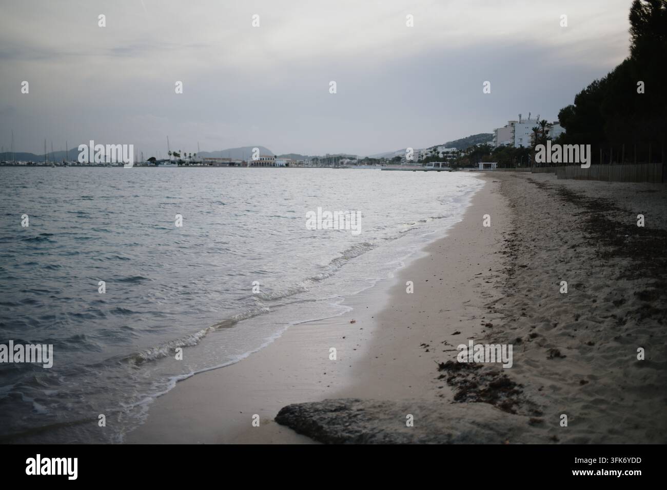 Port de Pollenca, Isole Baleari, Spagna – 05 gennaio 2025: Vista di una spiaggia sabbiosa lungo il mare calmo con un porto turistico in lontananza, edifici bianchi e alberi Foto Stock