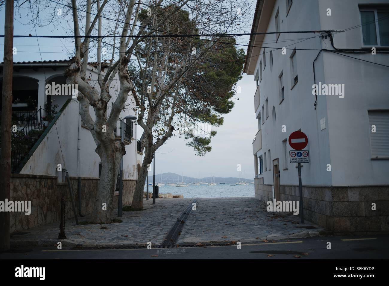 Port de Pollenca, Spagna - 05 gennaio 2025: Vista di una strada stretta che porta al mare con edifici bianchi, alberi maturi e barche a vela ancorate in th Foto Stock