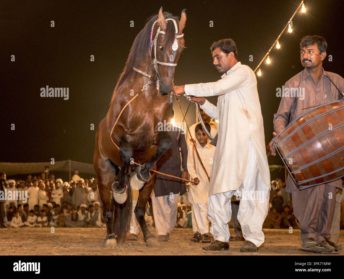 Bahawalpur, Punjab, Pakistan - 25 marzo 2025: Vista di un cavallo che esegue la danza tradizionale Ghora Nach al ritmo dei battiti di un tamburo dhol con una mano Foto Stock