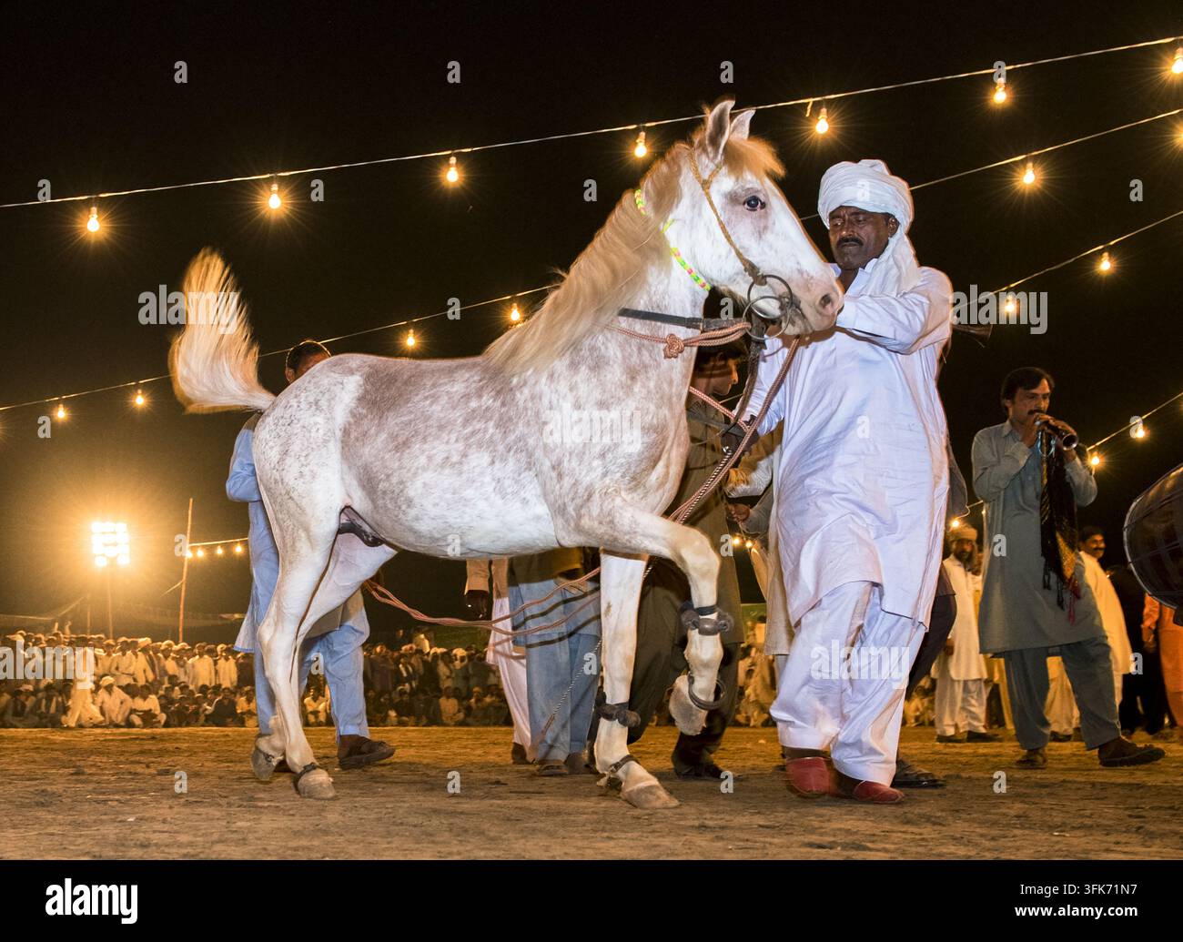 Bahawalpur, Pakistan - 25 marzo 2025: Vista di una tradizionale esibizione di danza equestre Ghora Nach con un uomo che guida un cavallo bianco sotto corde festive Foto Stock