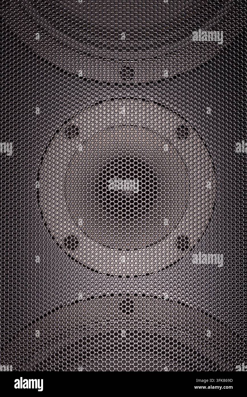 Prima vista di una griglia di altoparlante che rivela il driver audio circolare dietro un sottile motivo a maglie metalliche. Foto Stock