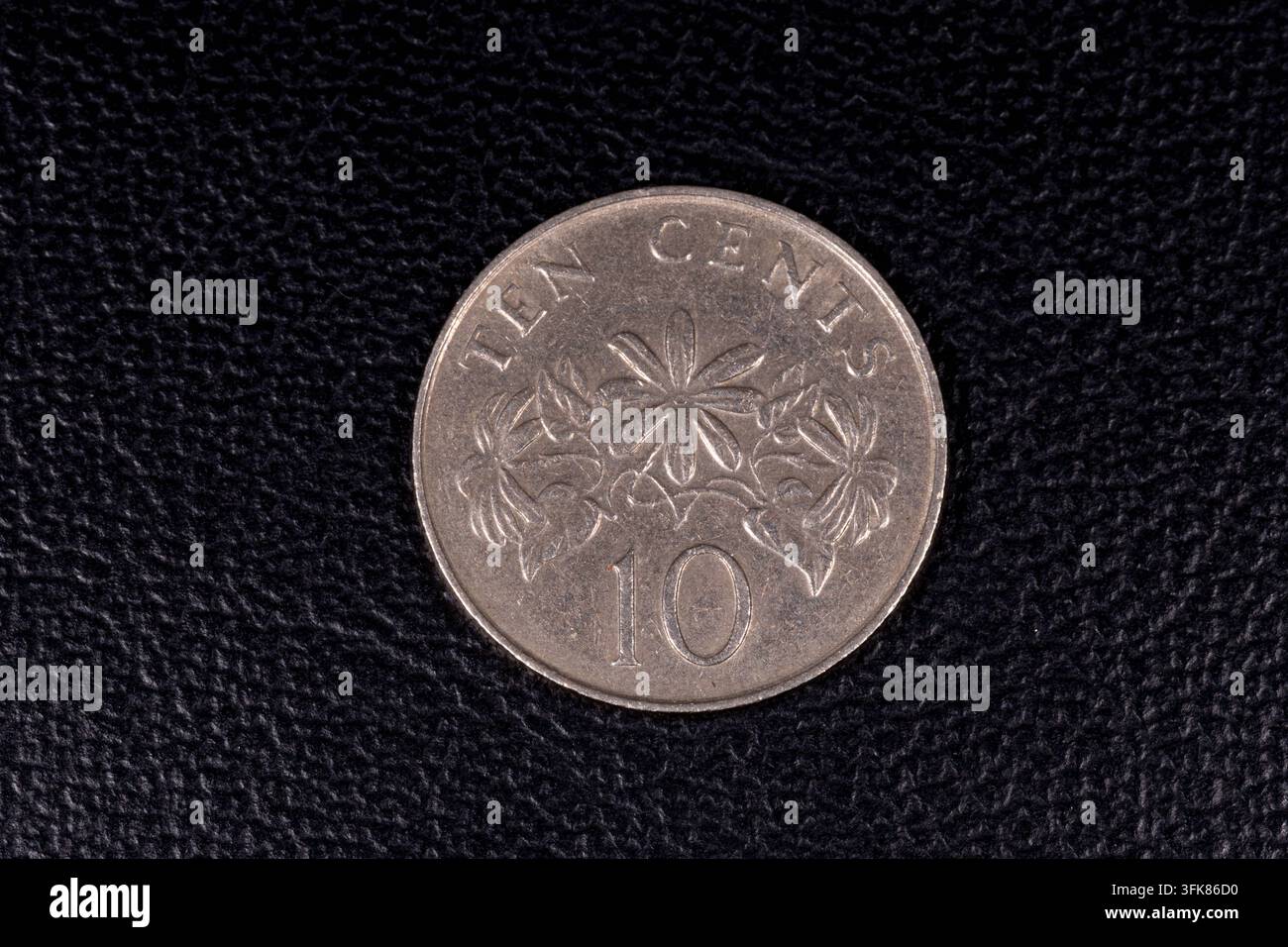 Fotografia macro di una moneta da 20 centesimi di Singapore del 1989 che mostra dettagli storici della valuta e del design monetario. Foto Stock