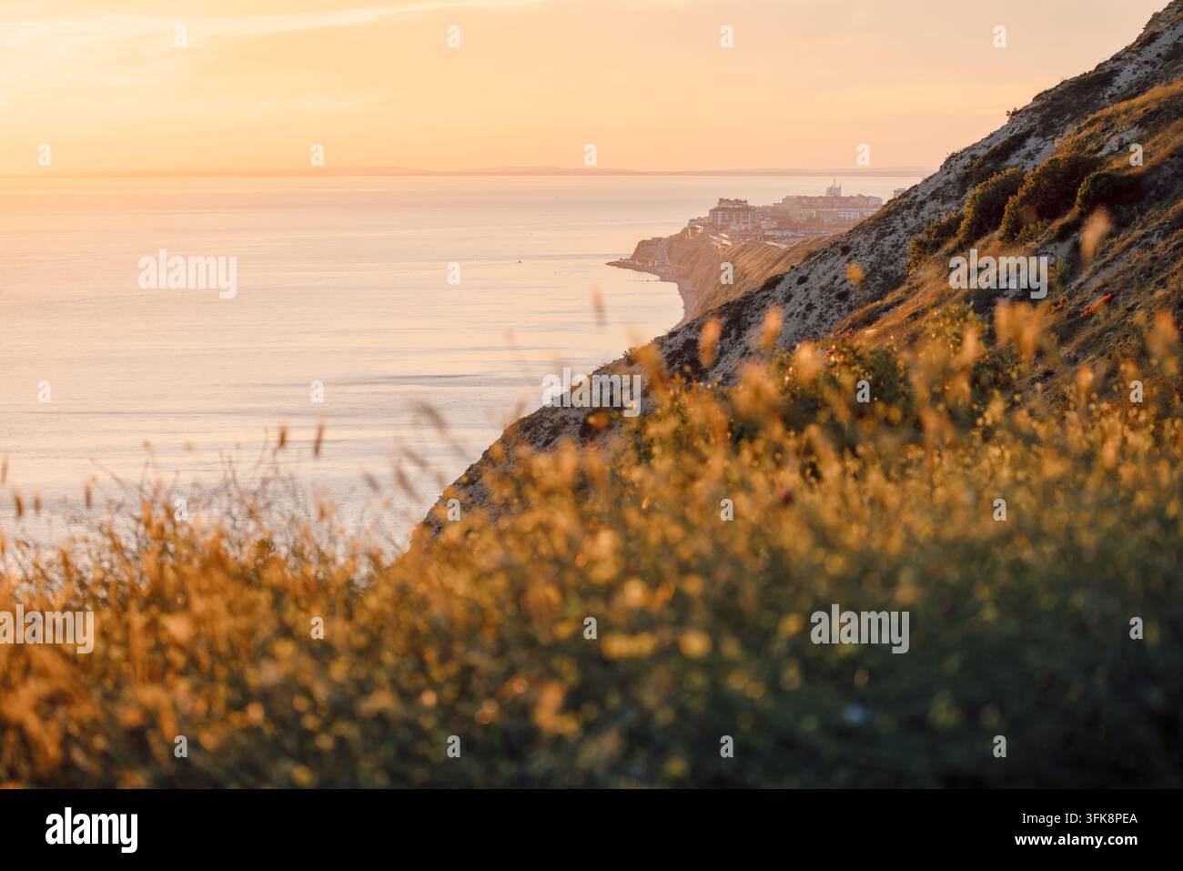 Tramonto dorato su una tranquilla scogliera costiera e il mare con erbe morbide in primo piano Foto Stock