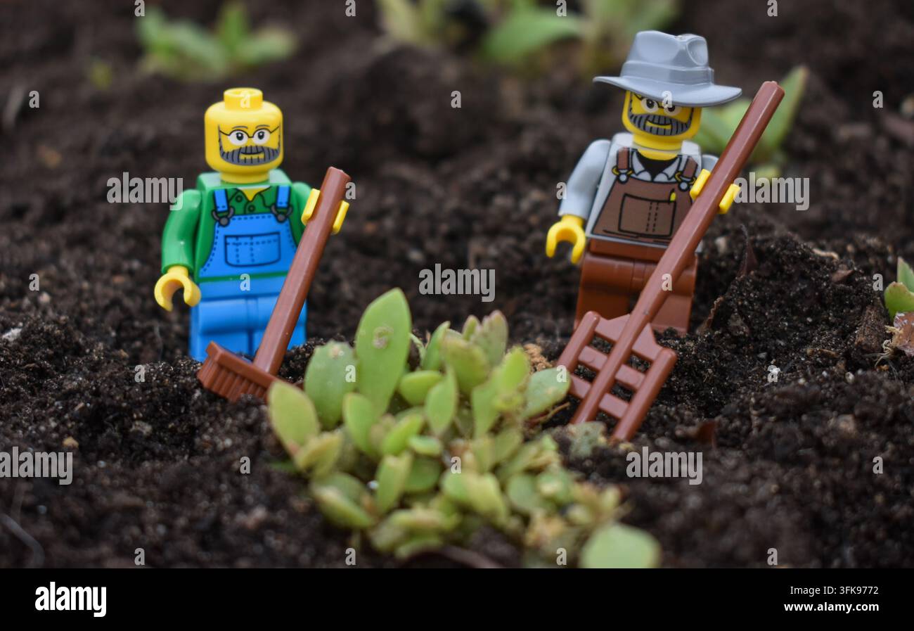 Mini figure coltivatore di lego Foto Stock