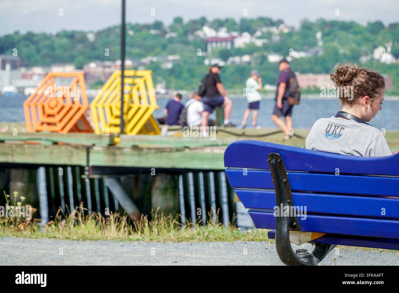 Halifax Nova Scotia Canada, Passeggiata del lungomare Harbourwalk, Porto di Halifax, giovane donna bianca, visitatrice femminile, seduta da sola, panchina blu, vista posteriore, h Foto Stock