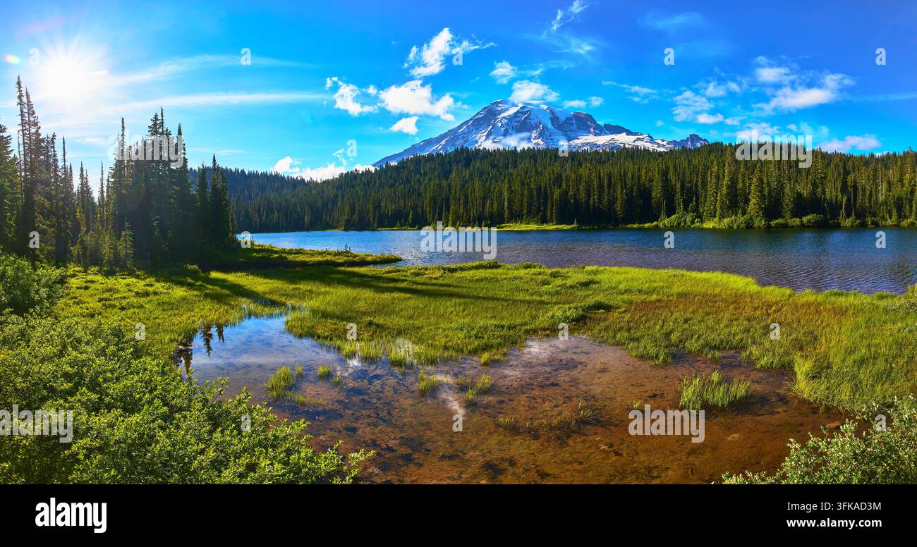 Lago Riflesso Monte Rainier e panorama di foresta lussureggiante sotto il sole splendente dell'estate Foto Stock