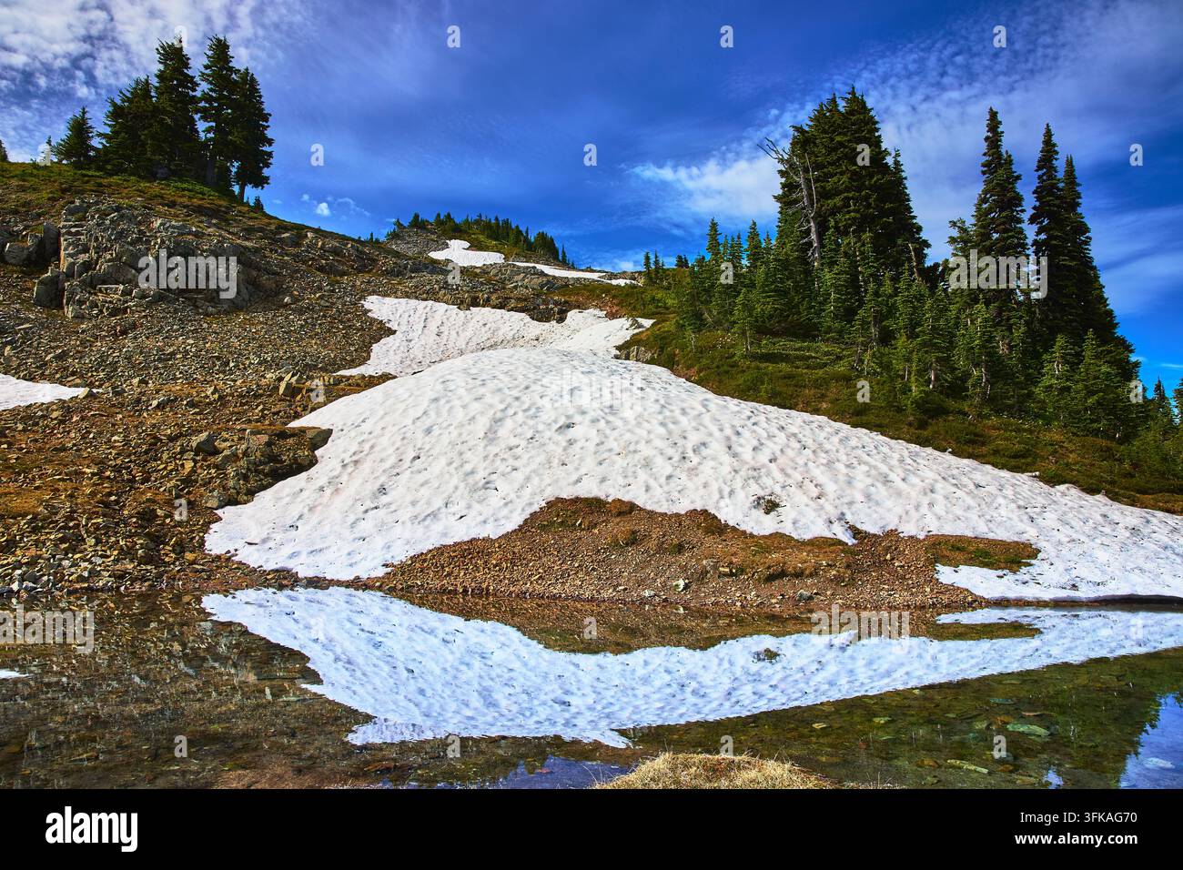 Campo di neve e alberi sempreverdi riflessi in uno specchio d'acqua alpino su un pendio montano Foto Stock
