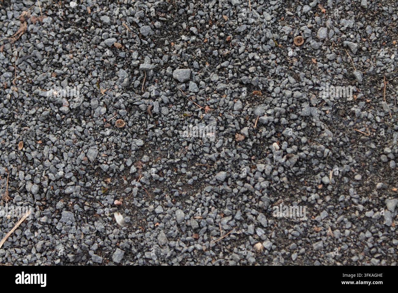 Vista ravvicinata di ghiaia grigio scuro che copre il terreno, con dimensioni di pietra variate, superfici ruvide, colori smorzati e frammenti organici sparsi Foto Stock