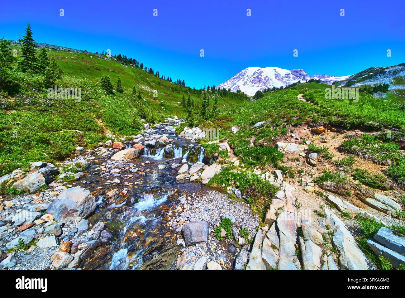 Picco innevato del Monte Rainier con ruscello roccioso e prato alpino in estate Foto Stock