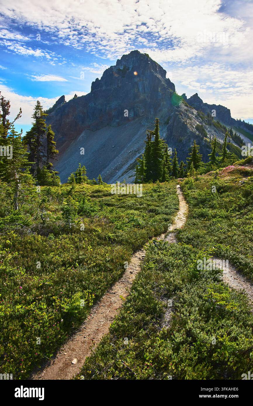 Sentiero di montagna e vegetazione lussureggiante che conducono a una cima rocciosa sotto un cielo blu Foto Stock