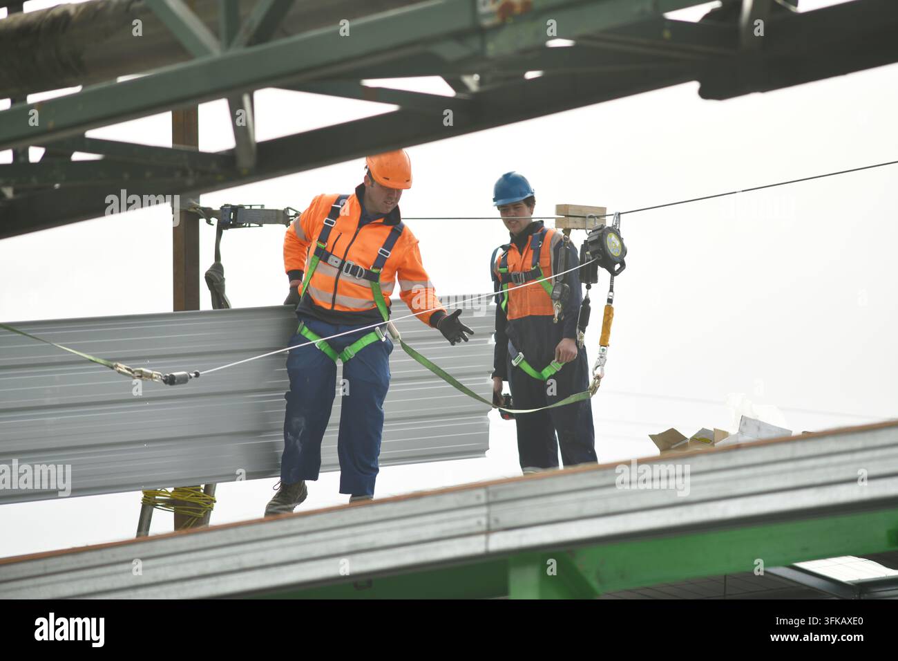 GREYMOUTH, NUOVA ZELANDA, 8 SETTEMBRE 2026: Un costruttore che indossa un'imbracatura di sicurezza trasporta una lastra di lamiera per tetti nuova sul posto in un edificio commerciale. Foto Stock