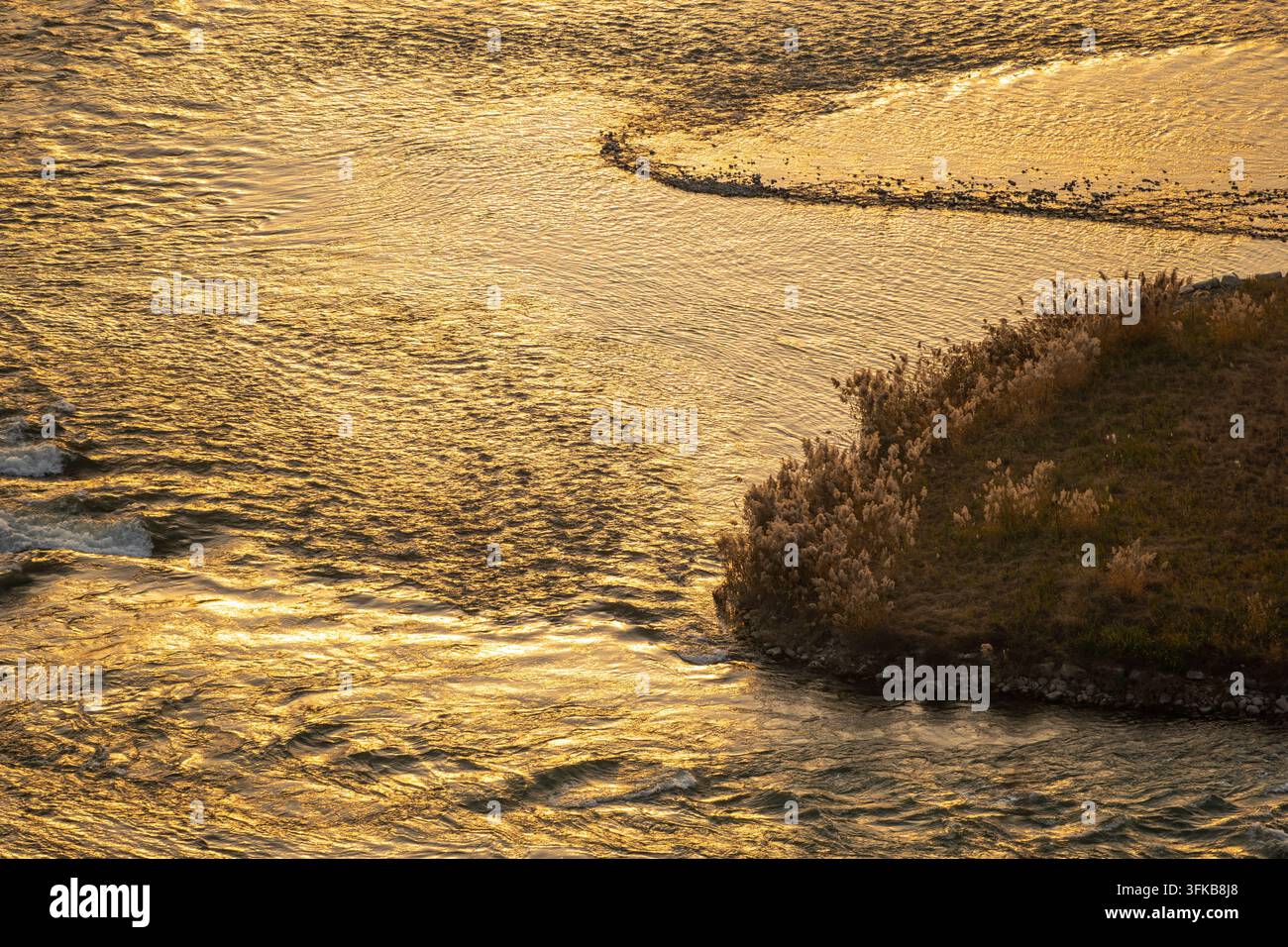Tramonto dell'ora dorata sul fiume Yongding a Pechino, fiume dorato increspato con canne, fotografia serena di paesaggio naturale curativo Foto Stock
