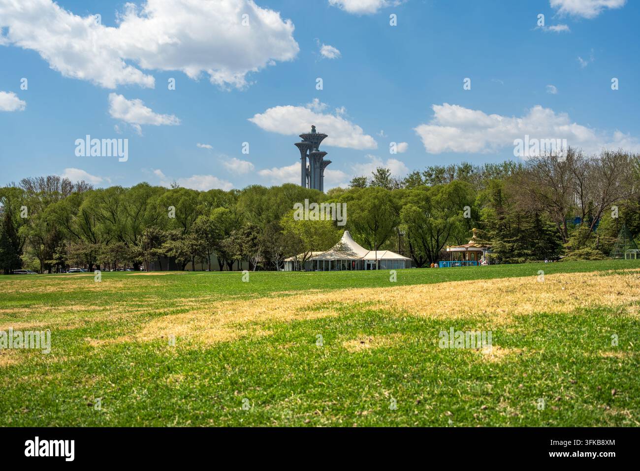 Cielo azzurro con nuvole bianche, prato verde, scenario naturale per il tempo libero Foto Stock