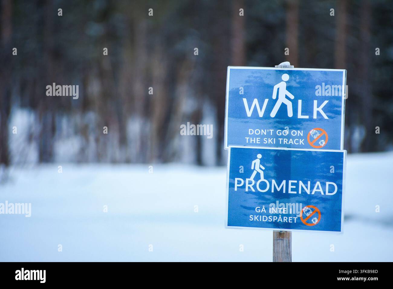 Segnale bilingue svedese e inglese che indica un percorso pedonale e chiede ai pedoni di stare lontani dalla pista da sci in inverno. Foto Stock