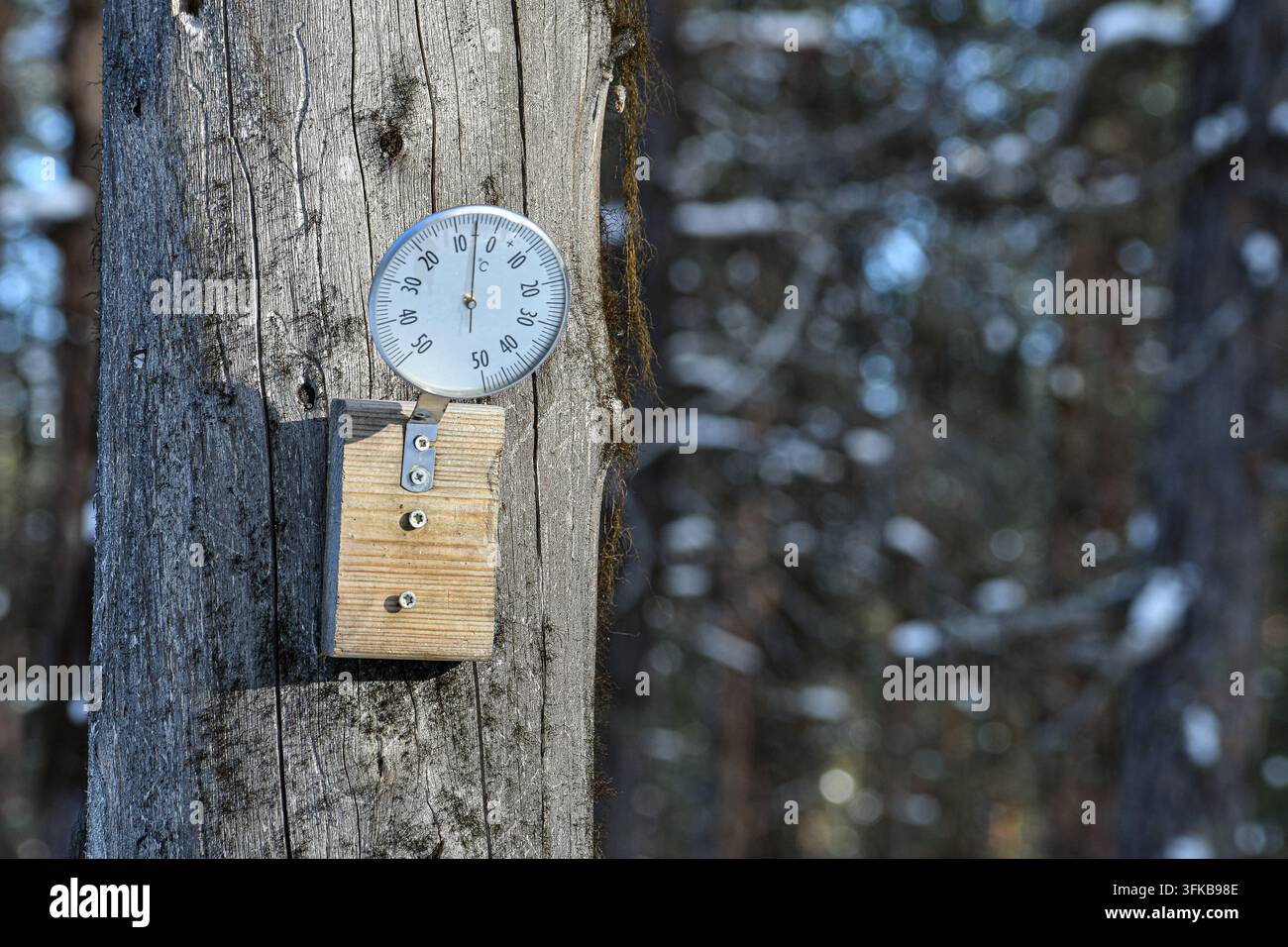 Termometro esterno montato su un palo di legno stagionato in una foresta, che mostra una temperatura leggermente al di sotto dello zero gradi Celsius. Foto Stock