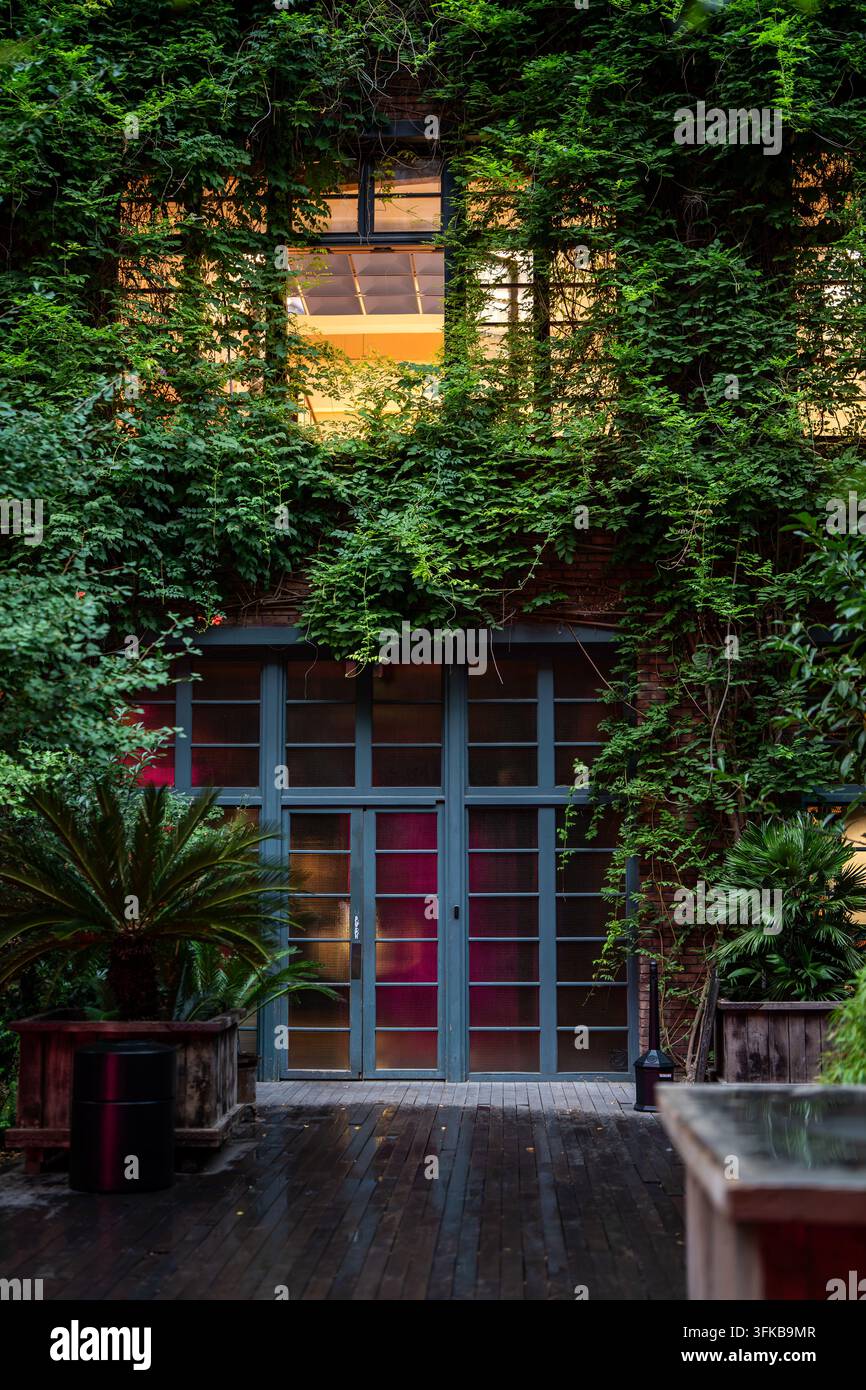 Facciata di edificio verde ricoperta di piante rampicanti, porte d'ingresso in vetro e finestre superiori aperte Foto Stock