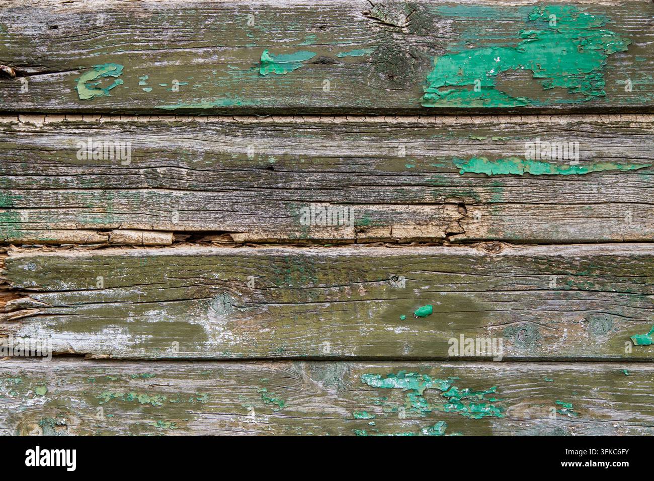 La trama di vecchie assi di legno con residui di vernice verde. Primo piano di tavole di legno. Foto Stock