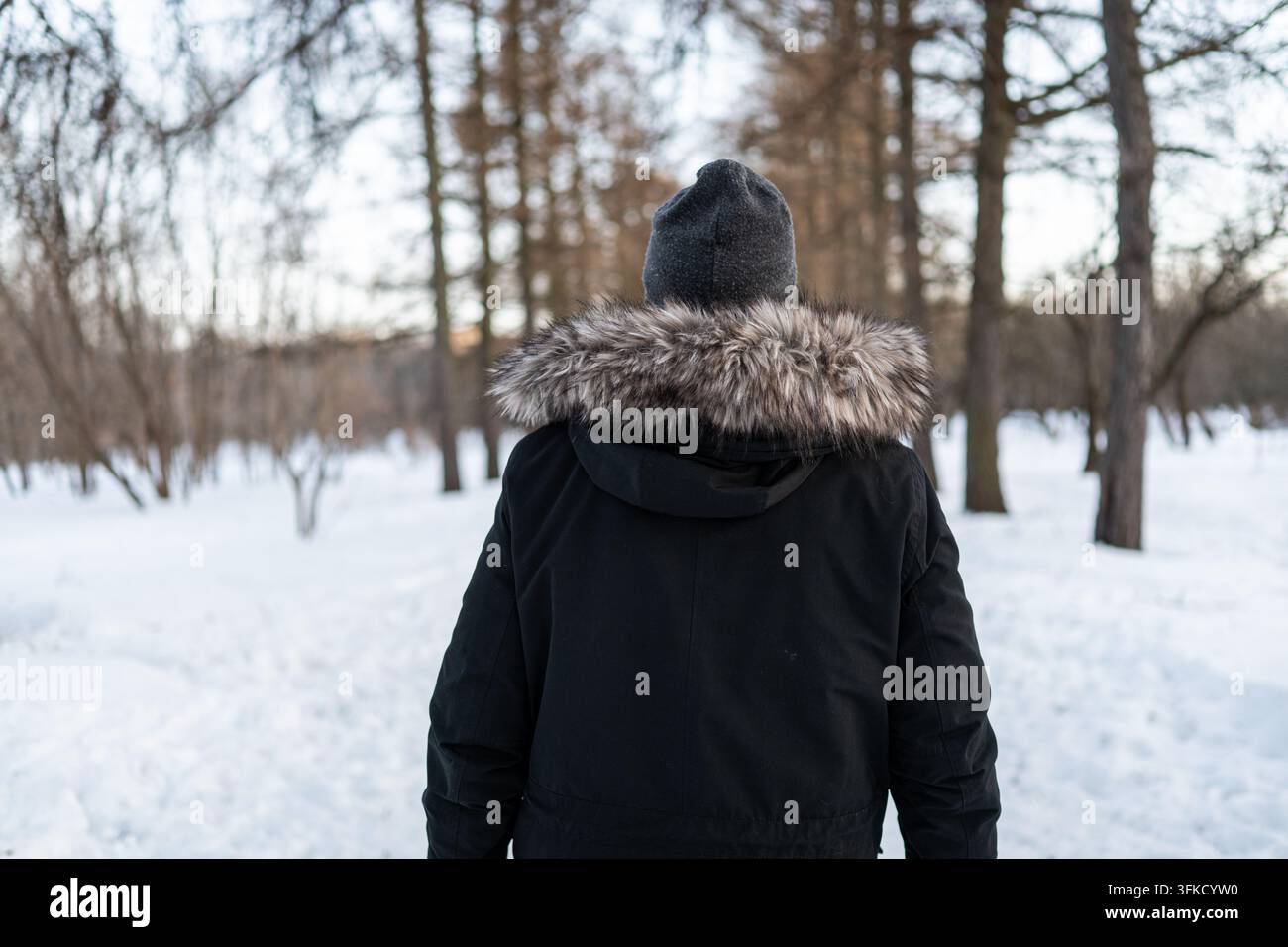 Uomo maturo in piedi da solo in un parco innevato invernale Foto Stock