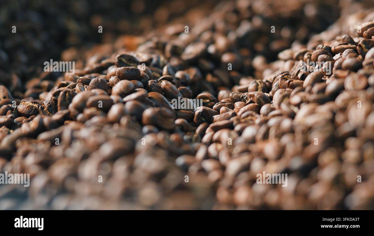 Grani di caffè tostati che si mescolano all'interno di un torrefattore a tamburo metallico automatico in una struttura di produzione, primo piano di un miscelatore industriale che mescola i chicchi durante la tostatura Foto Stock