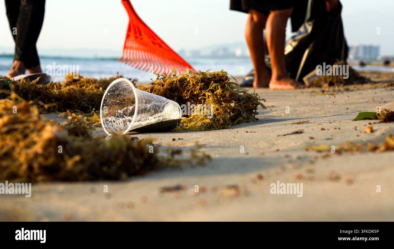 Lavori di pulizia su una spiaggia: rimozione di detriti e inquinamento per ripristinare la bellezza naturale degli ambienti costieri per un futuro sostenibile Foto Stock
