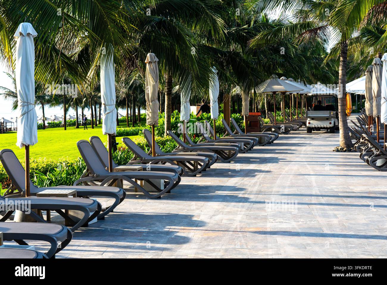 Ambientazione tranquilla di resort con chaise longue e palme in un'atmosfera paradisiaca tropicale illuminata dal sole per il relax e il tempo libero. Foto Stock