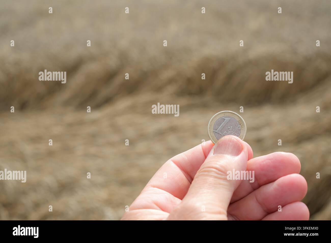Moneta in euro in una mano. Sfondo sfocato di campo di grano. Mercato del grano e prezzi. Minimal. Spazio per il testo. Foto Stock