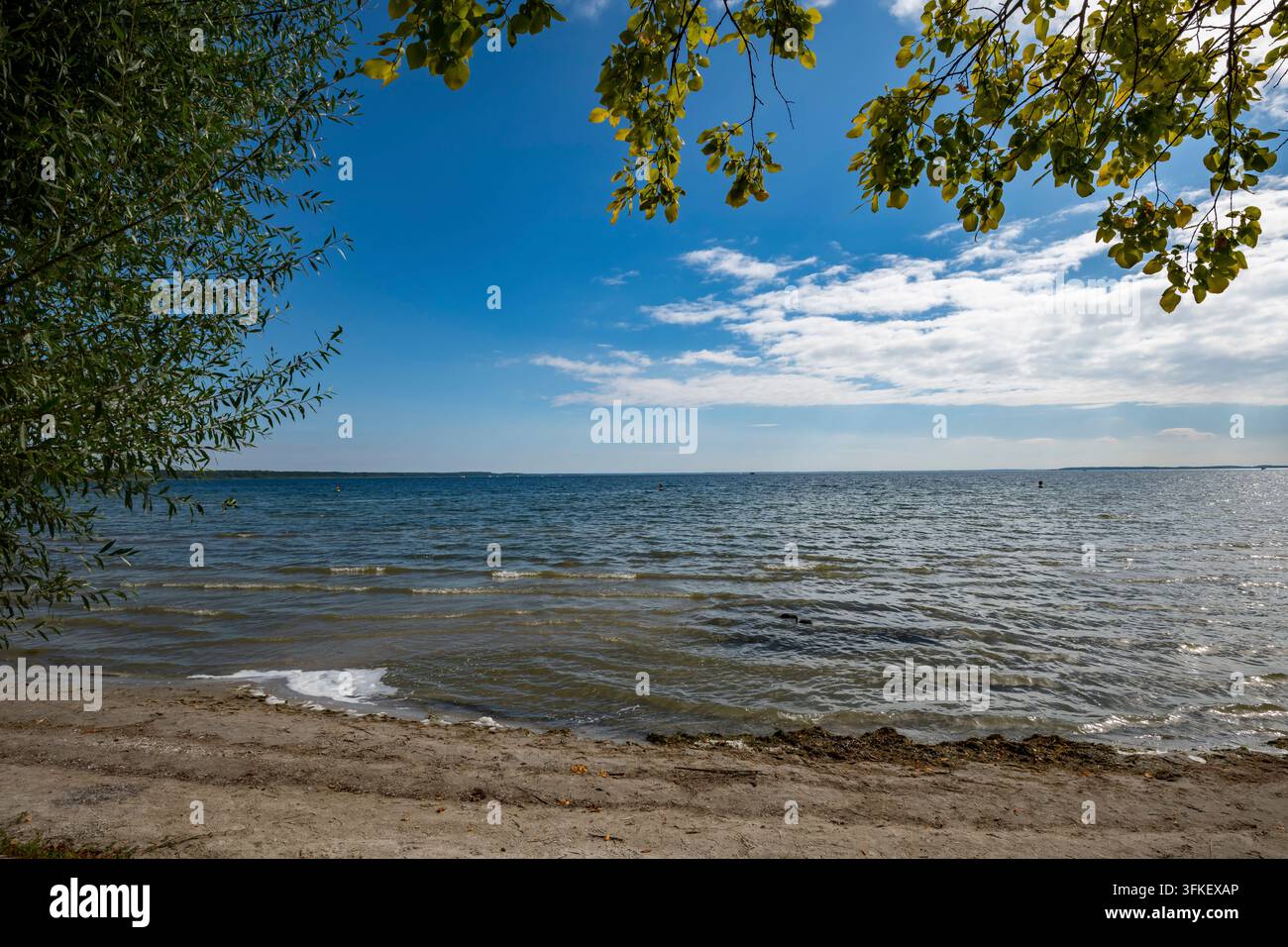 Vista del lago Mueritz, Aussenmueritz, Kleines Meer, Waren, Parco nazionale del Müritz, Meclemburgo-Pomerania Anteriore, Germania Foto Stock