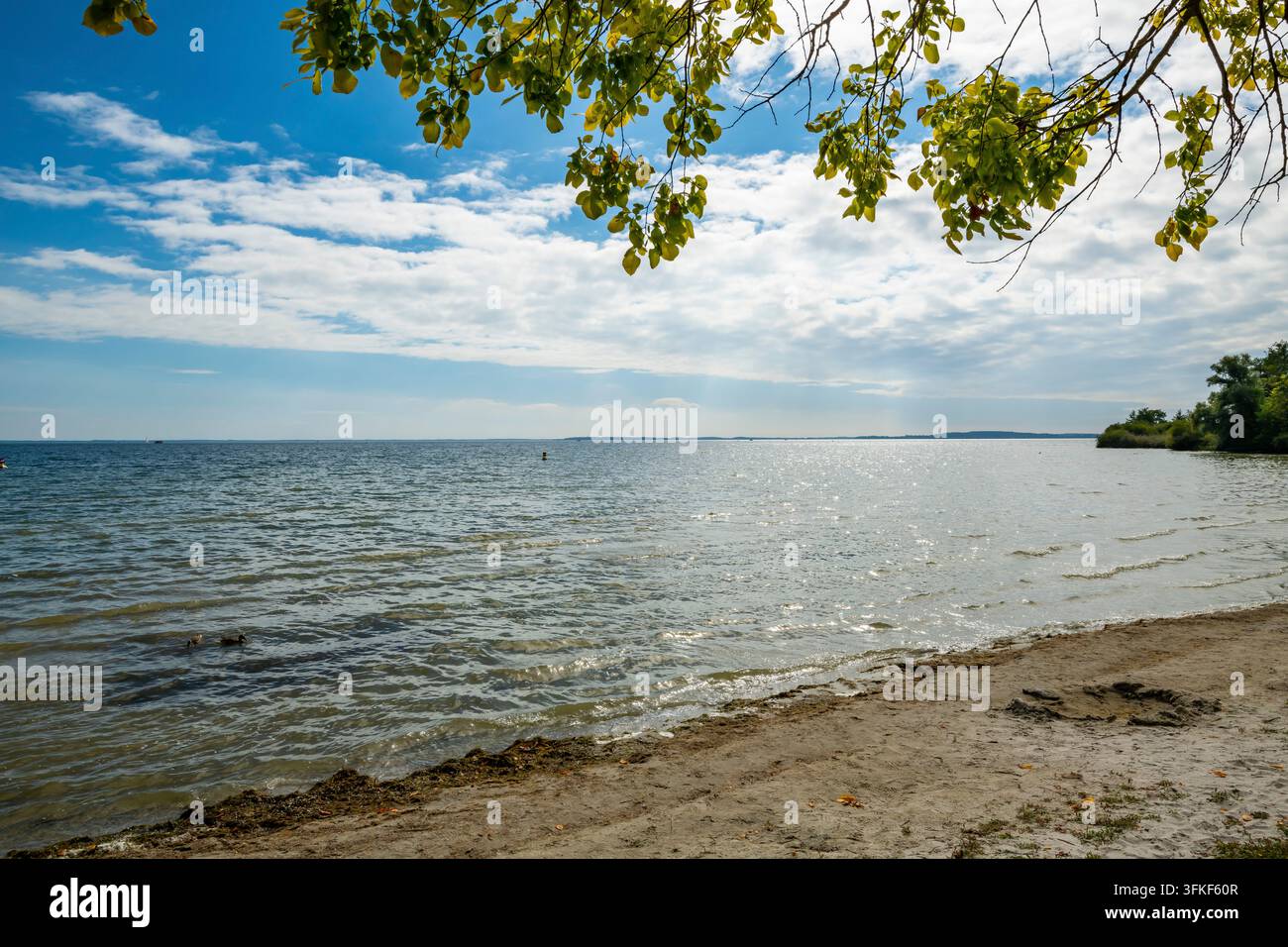 Vista del lago Mueritz, Aussenmueritz, Kleines Meer, Waren, Parco nazionale del Müritz, Meclemburgo-Pomerania Anteriore, Germania Foto Stock