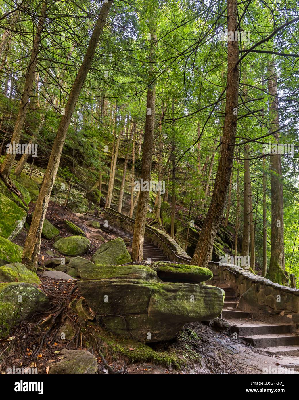 Scale a chiocciola del Civilian Conservation Corps (CCC), Hocking Hills State Park, vicino a Logan, Ohio. Foto Stock