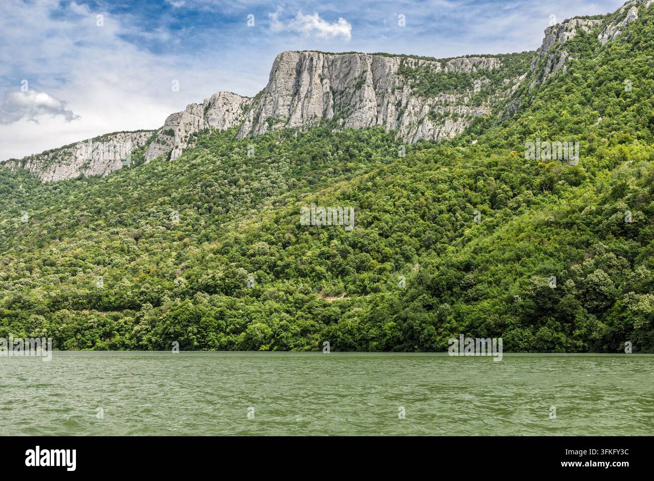 Il Danubio scorre davanti a scogliere ripide e boscose, gola delle Porte di Ferro, confine tra Serbia e Romania Foto Stock