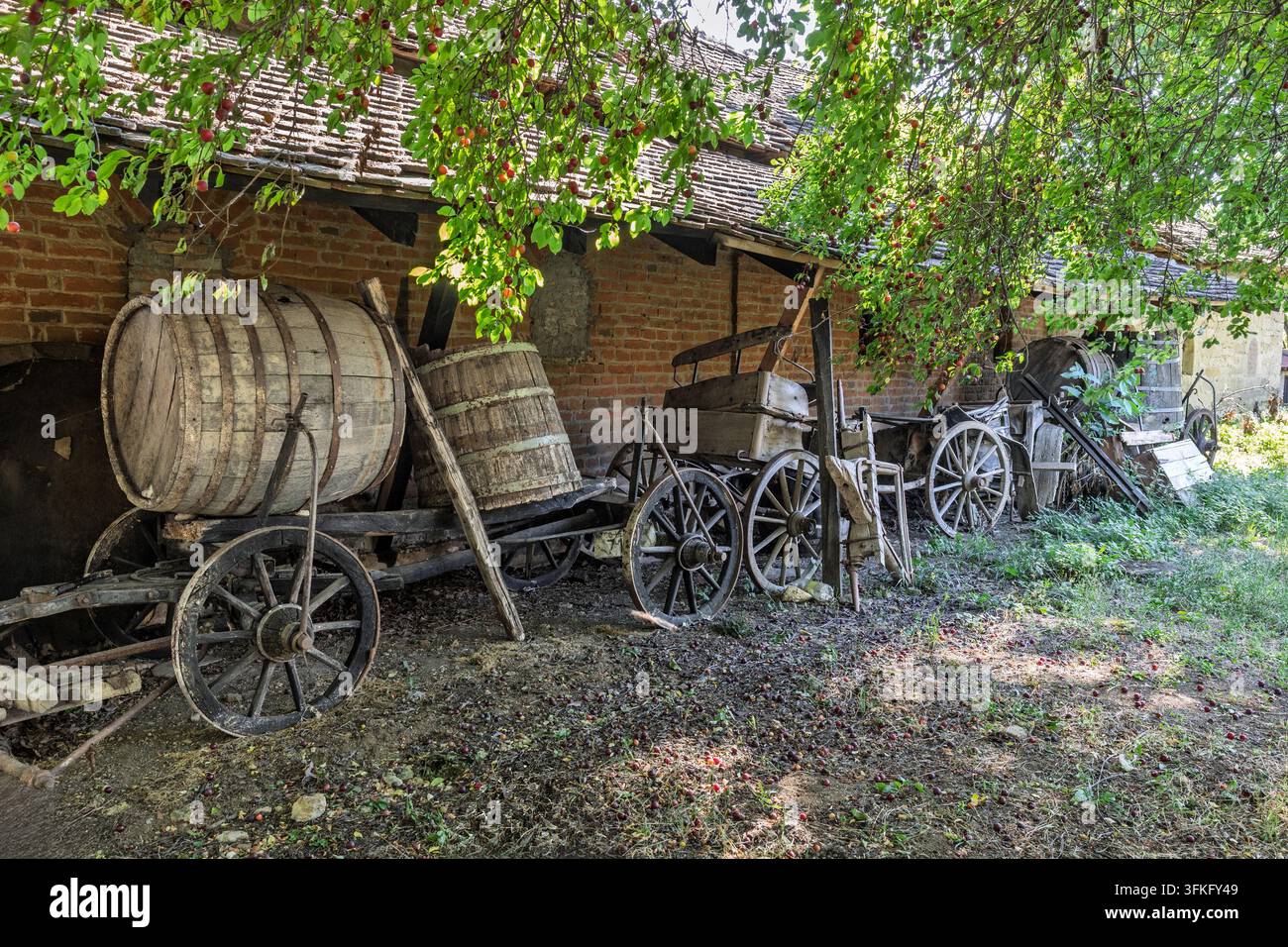 Carri vintage trainati da cavalli & barili di legno, conservati sotto un prugno selvatico accanto a un vecchio muro di mattoni rustico, cantina, villaggio di Rojljevac, Serbia Foto Stock