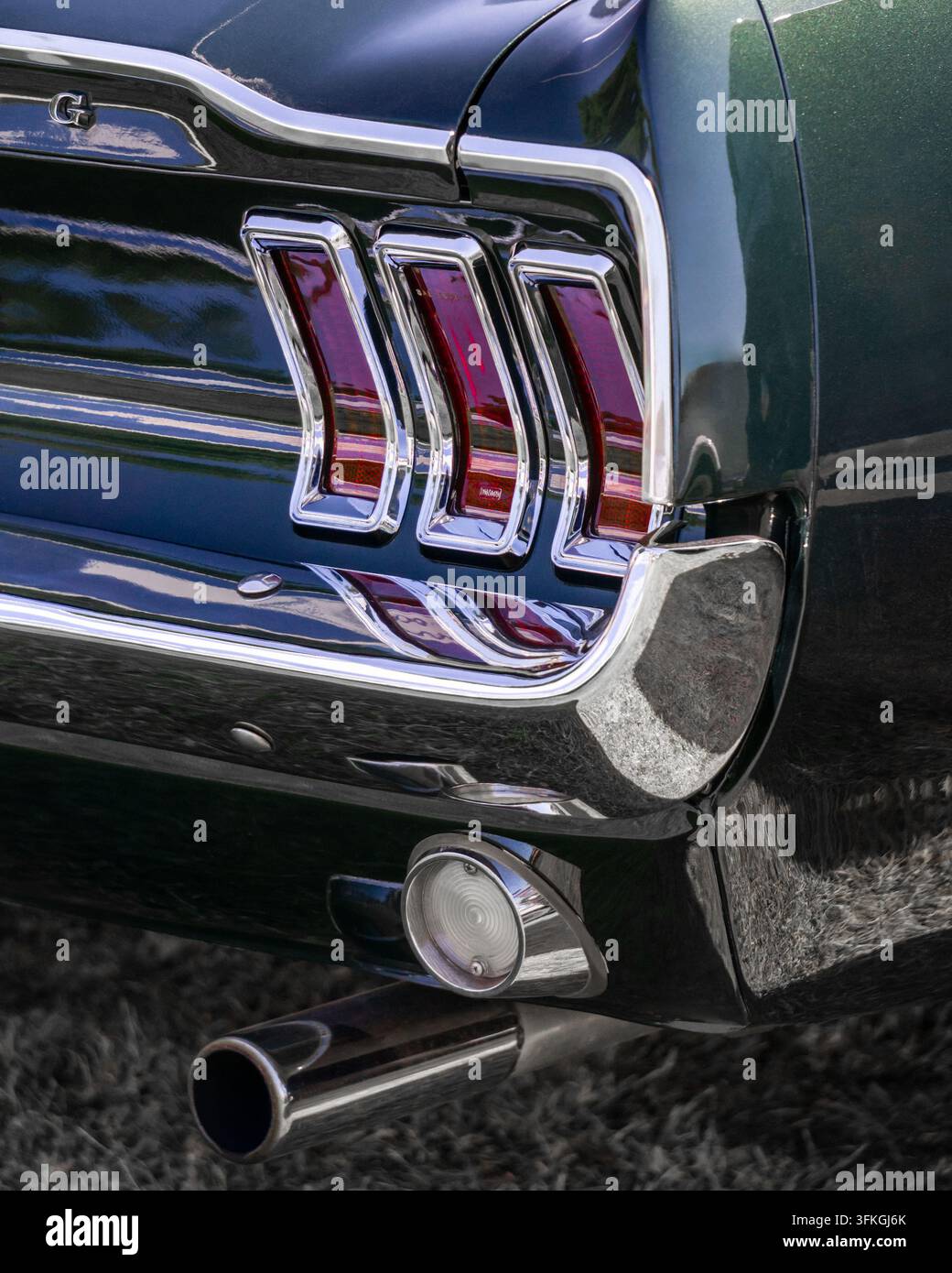 Prima piano della sezione posteriore di una Ford Mustang GT che mostra tre luci posteriori rosse verticali, il rivestimento cromato, il paraurti, il tubo di scarico e la carrozzeria scura lucida. Foto Stock