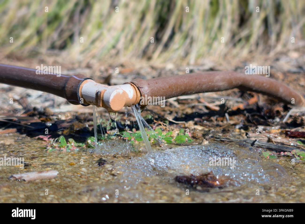 Sistema di irrigazione a goccia che spreca acqua Foto Stock
