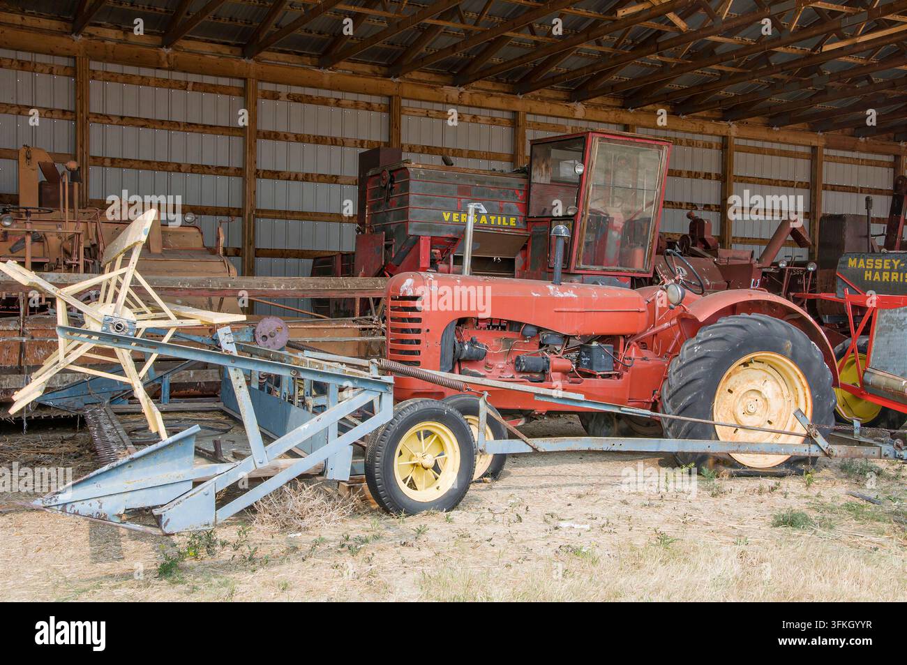 IRRICANA, ROCKY VIEW COUNTY, ALBERTA, CANADA - 08 AGOSTO 2026: Un vecchio trattore rosso Versatile antico con una trebbiatrice vintage blu e gialla attaccata Foto Stock