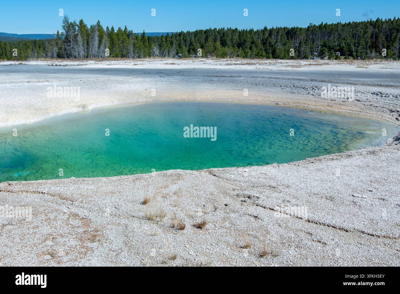 Fontane termali blu nel Parco nazionale di Yellowstone, l'area è famosa per i suoi ambienti estremi, le caratteristiche geotermiche e la bellezza. Foto Stock