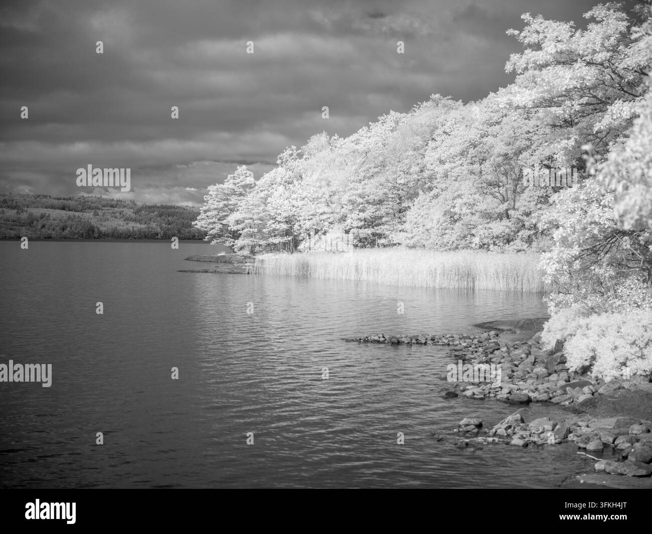 La scena mostra un corpo d'acqua fiancheggiato da alberi e una riva rocciosa. Un filtro a infrarossi è utilizzato per evidenziare le texture degli alberi e dell'acqua. Il cielo h Foto Stock