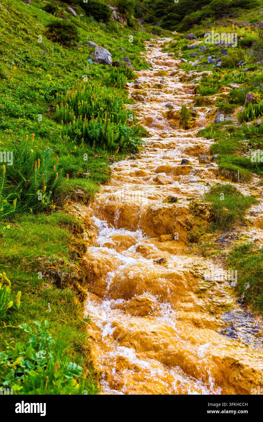 Sereno torrente ricco di ferro scorre su rocce in un terreno montuoso. Piante verdi rigogliose circondano la scena, creando un'atmosfera pacifica e naturale. Foto Stock