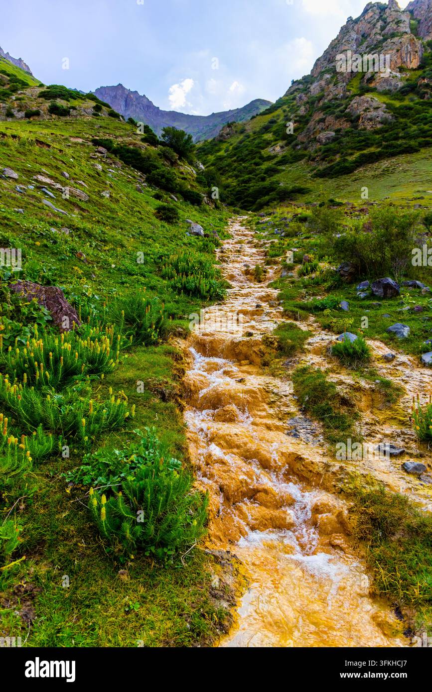 Un ruscello naturale ricco di ferro scorre pacificamente tra piante verdi vibranti in un terreno montuoso. Un paesaggio esterno sereno evoca un'atmosfera rinfrescante e tranquilla Foto Stock