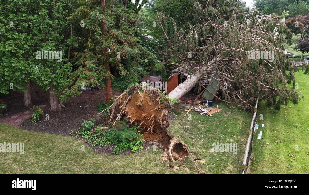 Albero sradicato con radici esposte schiaccia un piccolo capanno nel cortile a Manheim Township, Pennsylvania, rami caduti e detriti di legno sparsi su matu Foto Stock