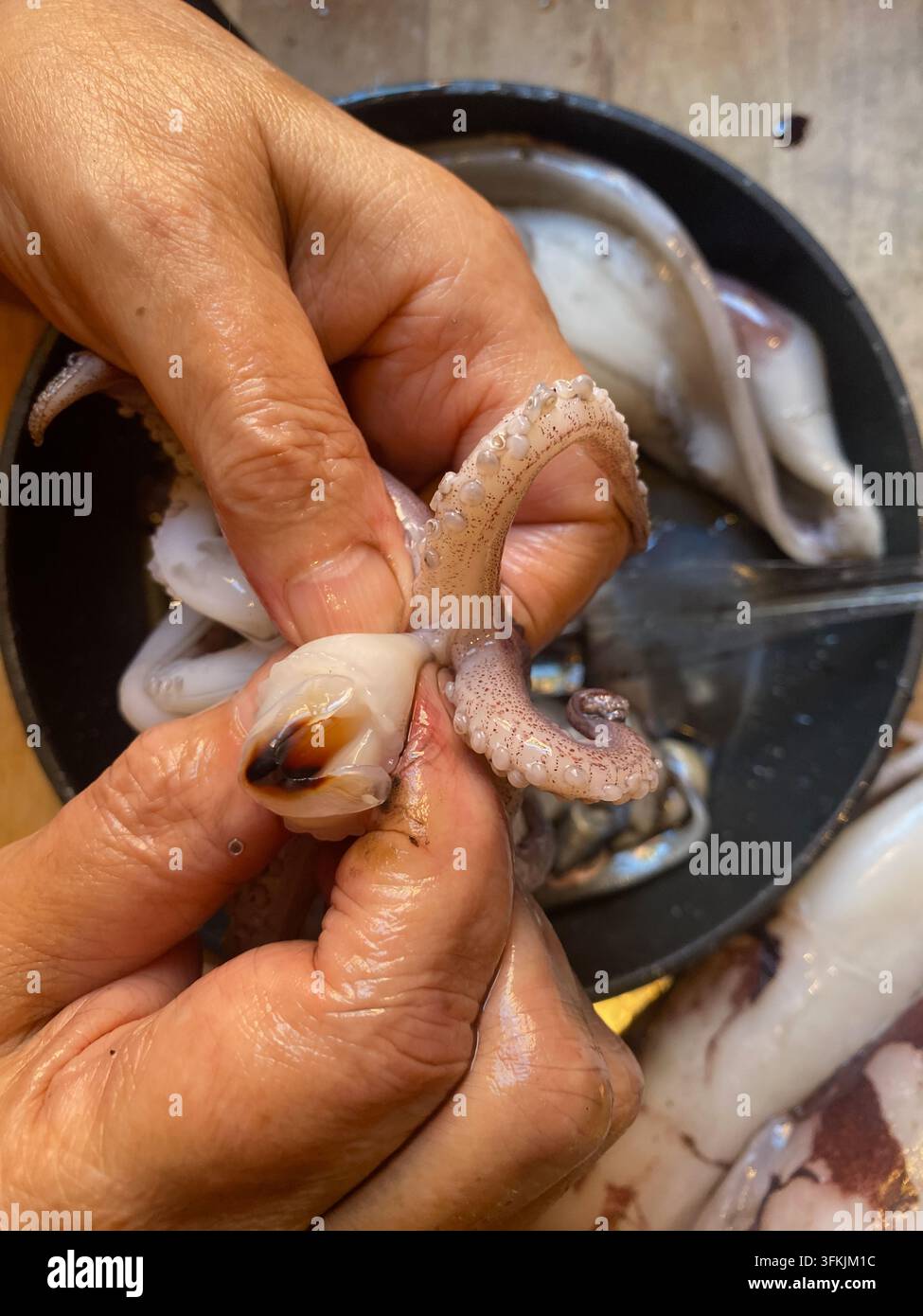 Mani che puliscono un calamaro fresco, rimuovendo il becco e la sacca dell'inchiostro in primo piano per la preparazione della cucina, mostrando i tentacoli e l'anatomia per cucina, frutti di mare e culi Foto Stock