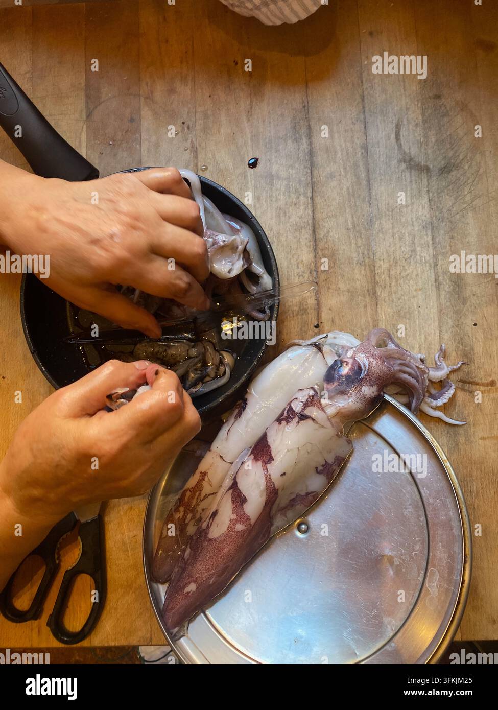 Mani che puliscono il calamaro crudo, rimuovendo la sacca dell'inchiostro e le parti interne in una ripresa dall'alto della cucina, preparando frutti di mare freschi per calamari e altri piatti gourmet Foto Stock