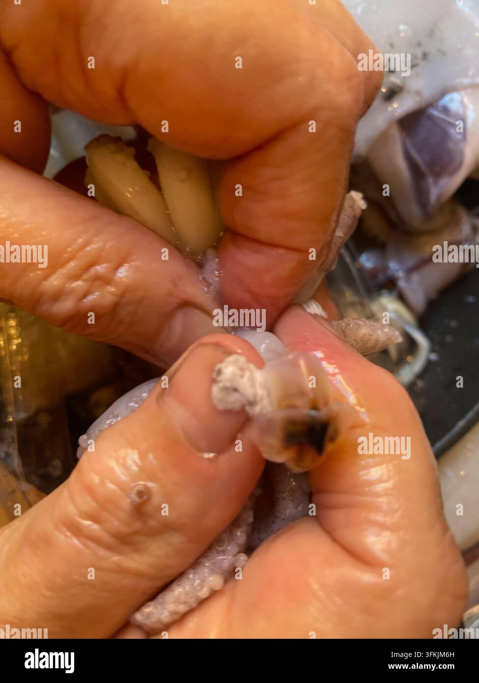 Mani che puliscono un calamaro crudo, rimuovendo organi interni e sacca dell'inchiostro in un primo piano in cucina mentre i calamari vengono preparati per la cottura, igiene e frutti di mare freschi Foto Stock