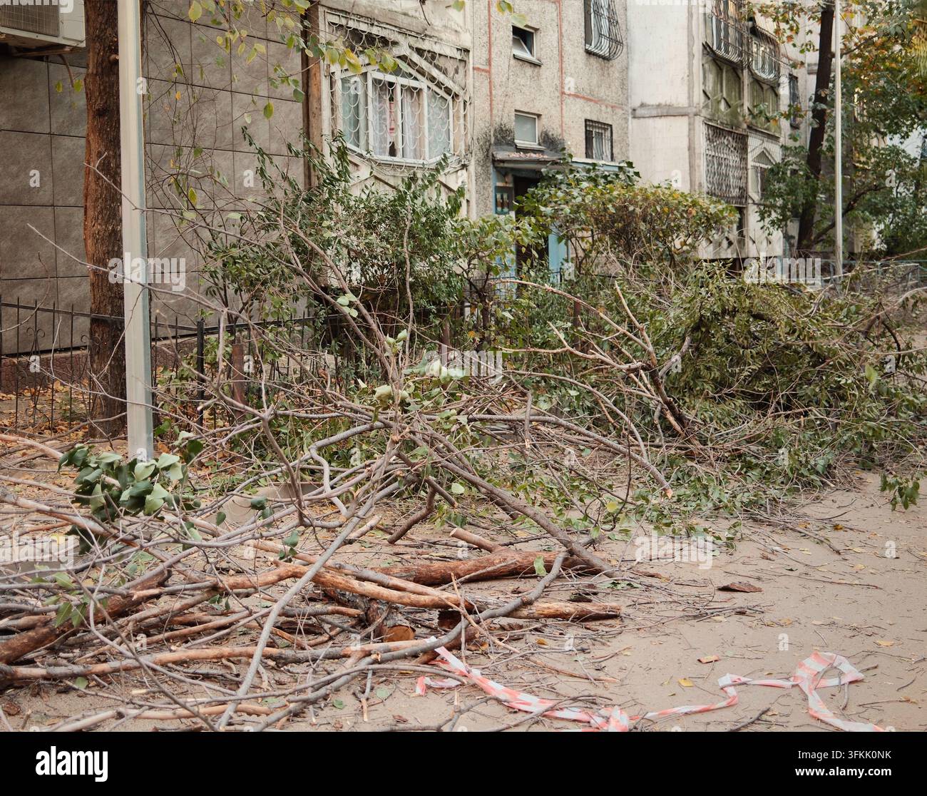 Rami d'albero tagliati e detriti del giardino accumulati accanto a un sentiero residenziale, che illustrano la manutenzione routinaria del giardino, lavori di paesaggio Foto Stock
