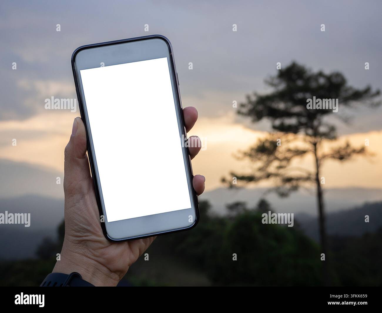 Donna che tiene uno smartphone al tramonto con schermo bianco isolato. Spazio vuoto per il testo. Schermo isolato per modello. Posto di lavoro con spazio per la copia. Foto Stock