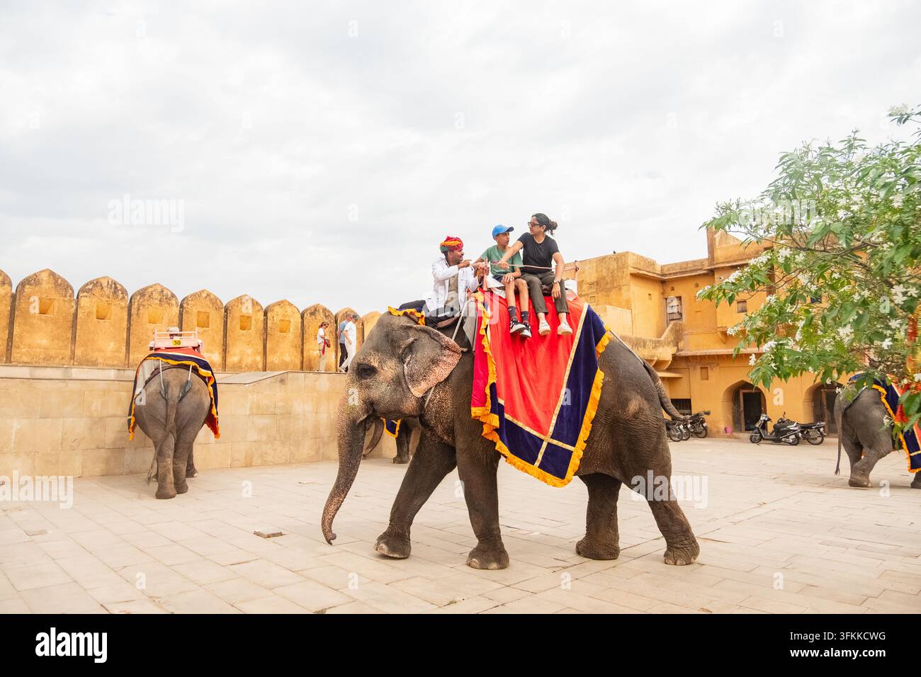 Elefante che trasporta turisti nel cortile principale (Jaleb Chowk) di Amber Fort ad Amur, Rajasthan, India Foto Stock