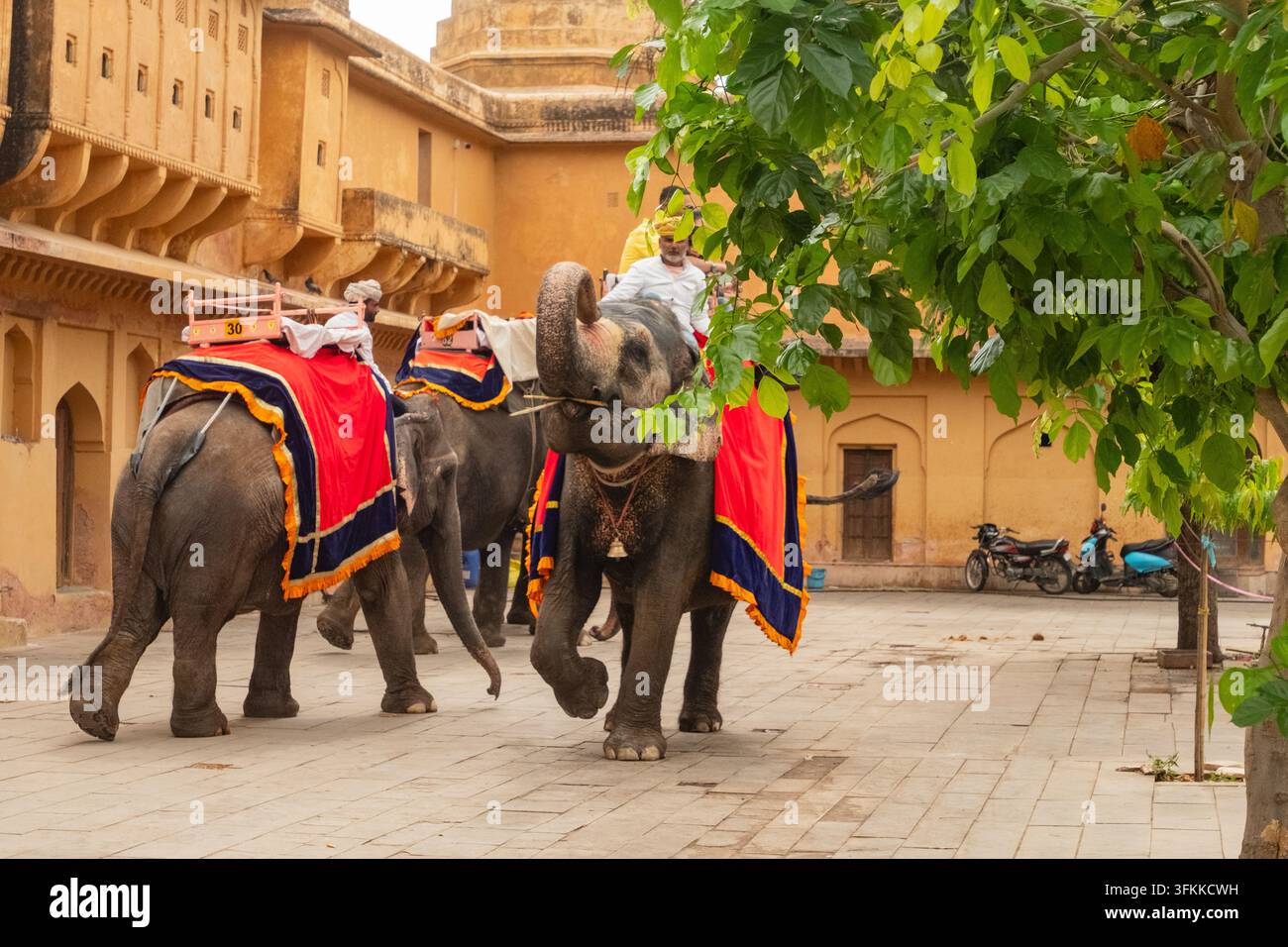 Elefante che trasporta turisti nel cortile principale (Jaleb Chowk) di Amber Fort ad Amur, Rajasthan, India Foto Stock