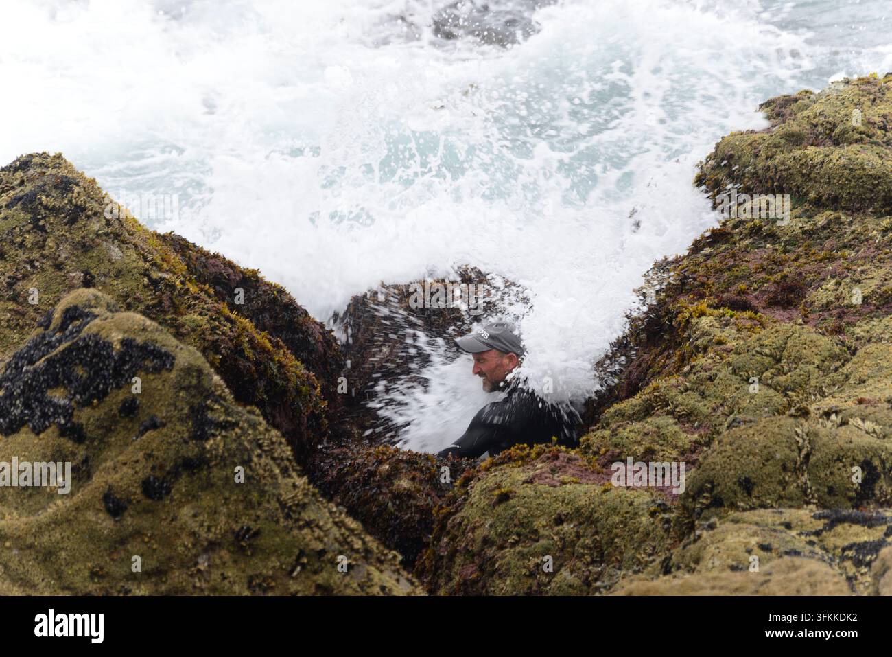 Pescatore che raccoglie patelle d’oca a Punta Roncudo, Galizia, Spagna Foto Stock